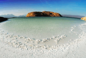 1 Week Tour of the Culture, Nature, History, and Diving of Somaliland and Djibouti A serene landscape of a salt lake with an island in the distance, under a clear blue sky.