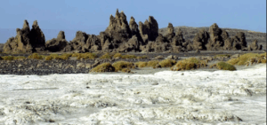 Djibouti Nature and Wilderness Tour – Into the Mountains, Forests, and Salt Lakes The image shows a stark landscape with white, cracked earth in the foreground, a strip of dark soil with sparse vegetation, and a line of jagged, dark rock formations against a light blue sky.