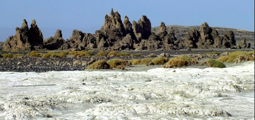 The image shows a stark landscape with white, cracked earth in the foreground, a strip of dark soil with sparse vegetation, and a line of jagged, dark rock formations against a light blue sky.