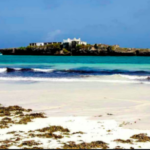 Mogadishu and Somalia Express Economy Tour and Local Sites and Highlights