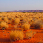 Visit Somalias Red Desert : Puntland from Garowe to Galkayo