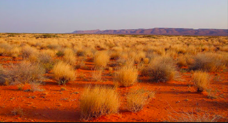 A dry, arid landscape with reddish soil, sparse vegetation consisting of grasses and shrubs, and distant hills under a hazy sky.